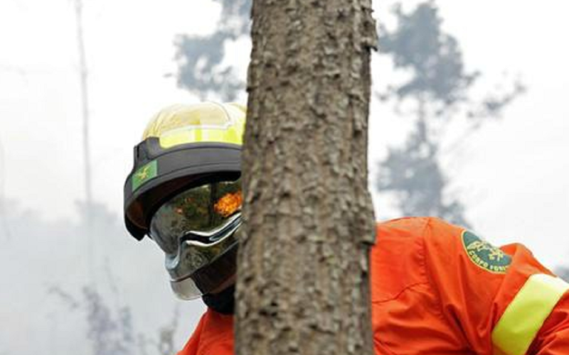 Forestali sospesi, errore del governo. Caputo: «Incendi in aumento e rischio Covid, sbagliato fermare i lavoratori»