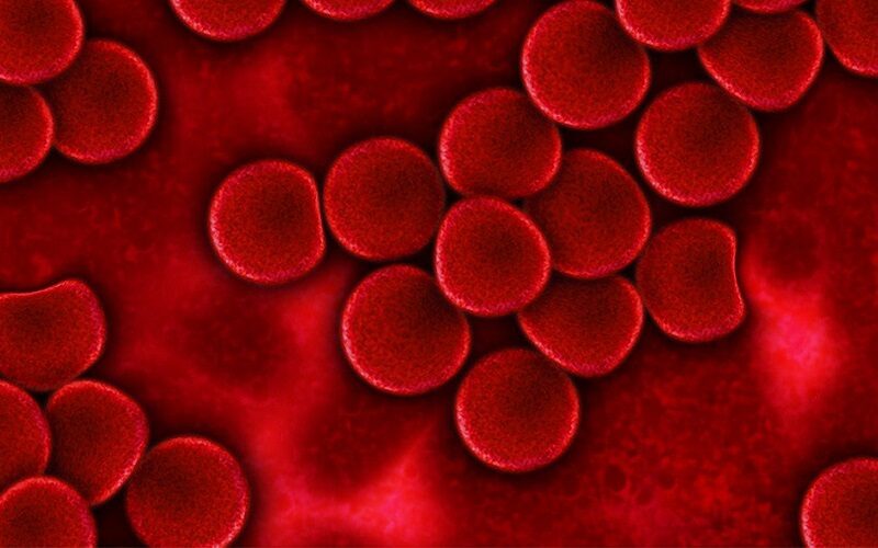 Gela, sangue super immune per curare i pazienti Covid. Creare «banca del plasma» in ospedale