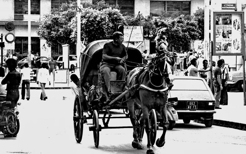 Gela: quando il taxi era un calesse (1976)