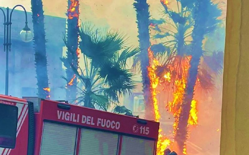 Gela, torna l’incubo delle palme in fiamme. Paura nella notte in via Ruggero Settimo, è l’ennesimo rogo