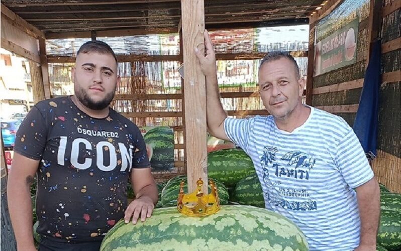 Gela: anguria da Guinnes per il decano dei «melonari». Con una dedica speciale