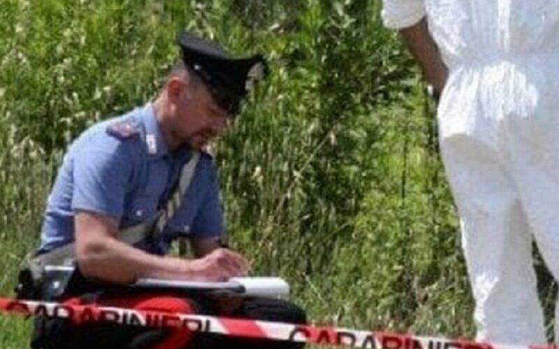 Gela: tentato omicidio Palmeri, chiesto processo per 7 persone. Mire sul giro di affari del fieno