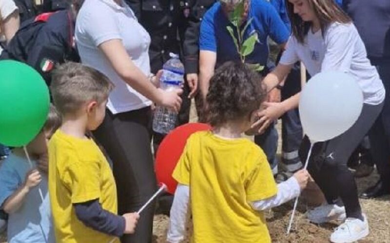 Niscemi: un albero per il futuro, nuovi germogli di legalità dal grande esempio di Falcone